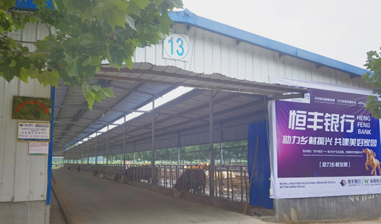 20210802134764556455