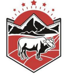 20211130175371327132