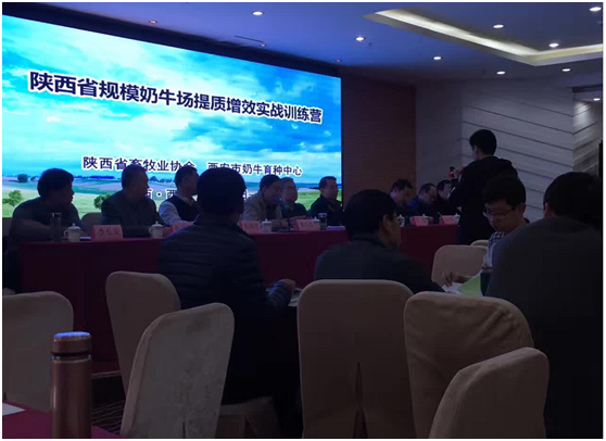 J9���Ź���(�й�)-�ٷ���վ