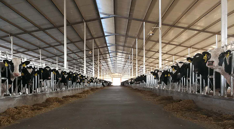 J9���Ź���(�й�)-�ٷ���վ