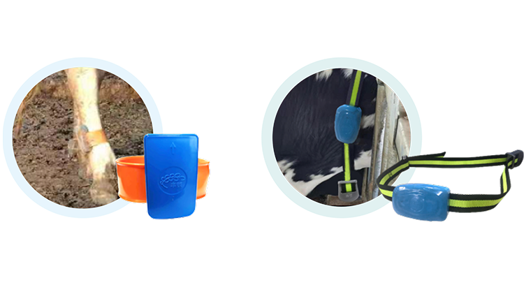 J9���Ź���(�й�)-�ٷ���վ