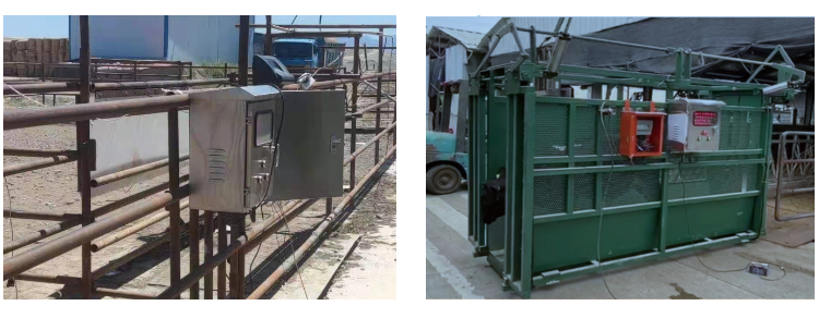 J9���Ź���(�й�)-�ٷ���վ