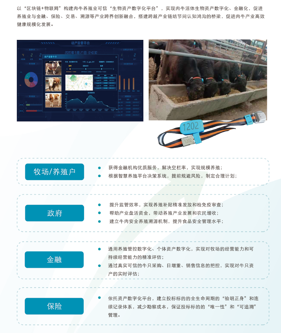 J9���Ź���(�й�)-�ٷ���վ