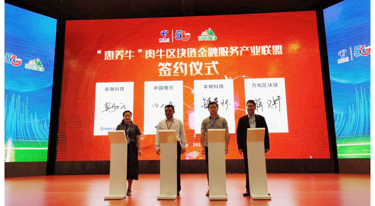 J9���Ź���(�й�)-�ٷ���վ