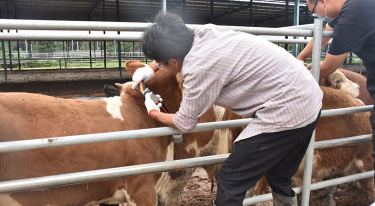 J9���Ź���(�й�)-�ٷ���վ