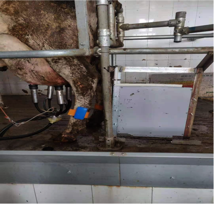 J9���Ź���(�й�)-�ٷ���վ