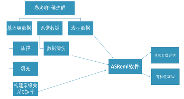 J9���Ź���(�й�)-�ٷ���վ