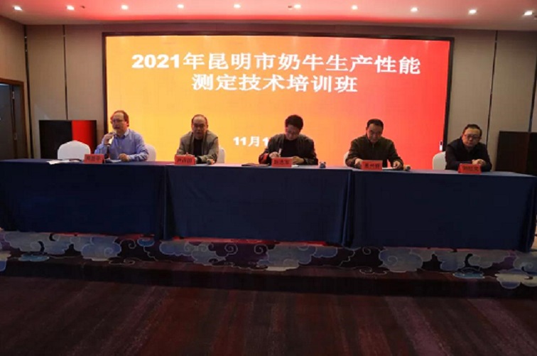 J9���Ź���(�й�)-�ٷ���վ