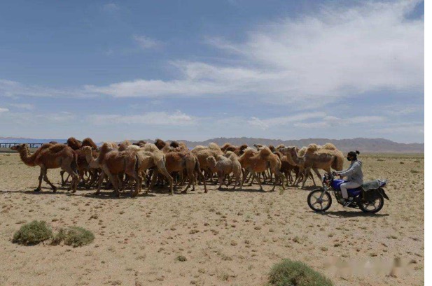 J9���Ź���(�й�)-�ٷ���վ