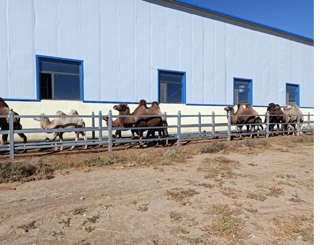 J9���Ź���(�й�)-�ٷ���վ