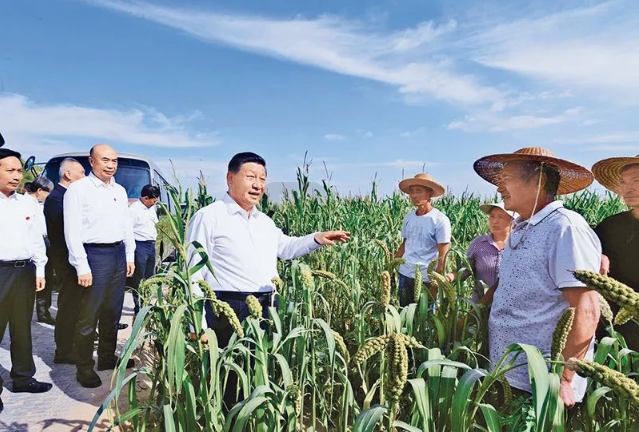 J9���Ź���(�й�)-�ٷ���վ