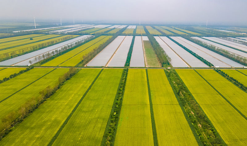 J9���Ź���(�й�)-�ٷ���վ