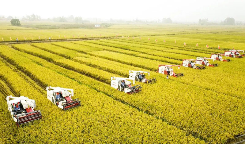 J9���Ź���(�й�)-�ٷ���վ