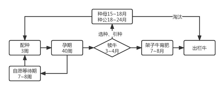 J9���Ź���(�й�)-�ٷ���վ