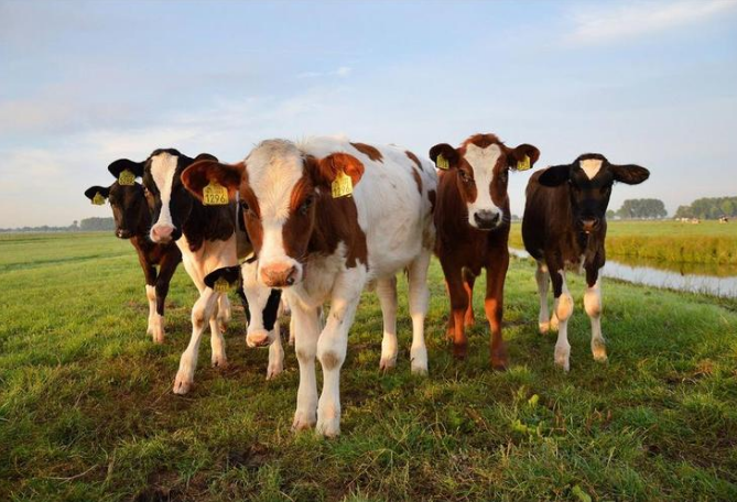 J9���Ź���(�й�)-�ٷ���վ