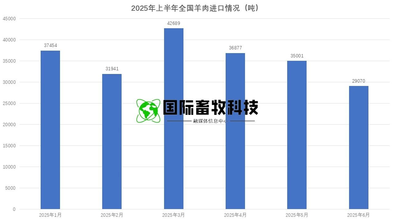 J9���Ź���(�й�)-�ٷ���վ