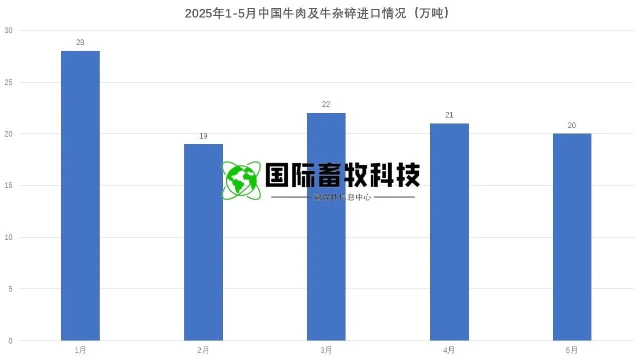 J9���Ź���(�й�)-�ٷ���վ